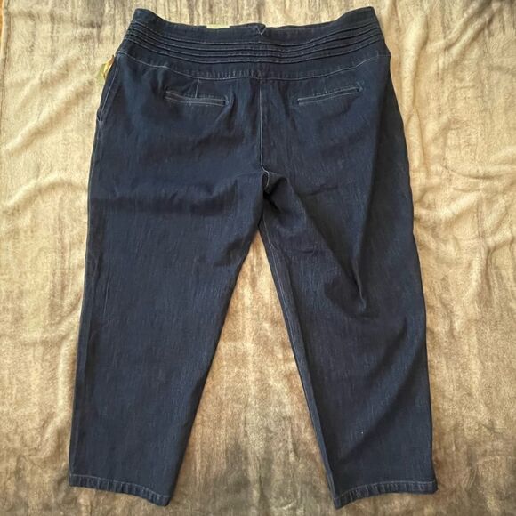 NWTs Ryegrass High Waisted Plus Size Jeans Size 22W - Picture 7 of 9
